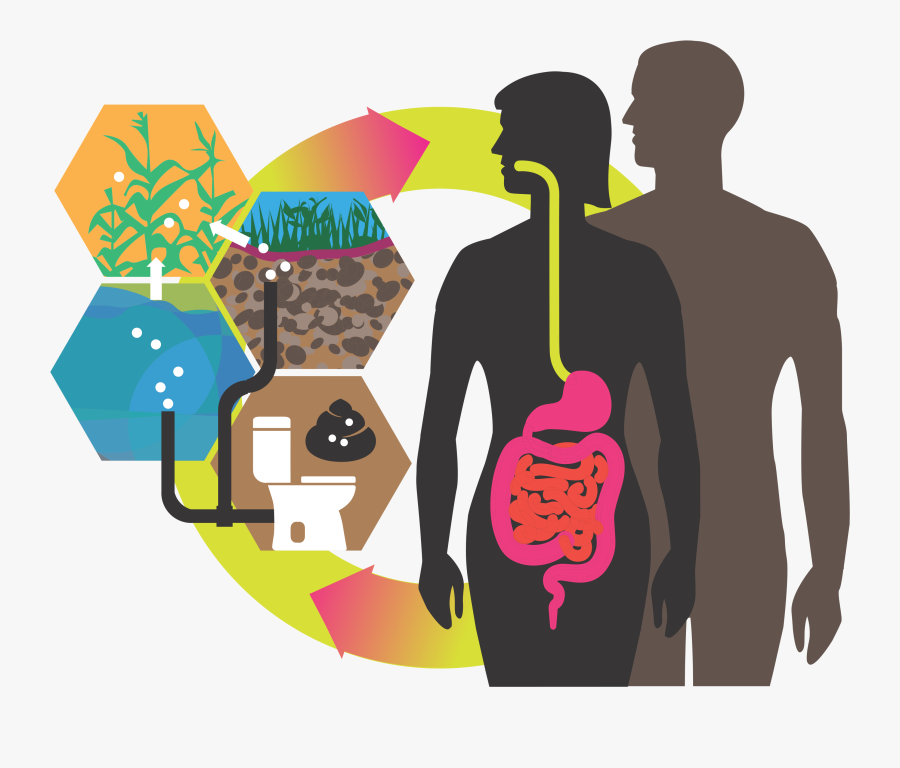 Virus Clipart Salmonella - Clip Art, Transparent Clipart