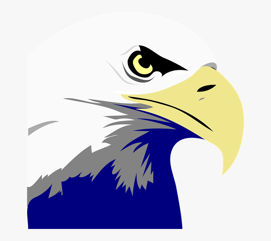 Temporary Bald Eagle Logo Transparent & Png Clipart - Bald Eagle Clipart, Transparent Clipart