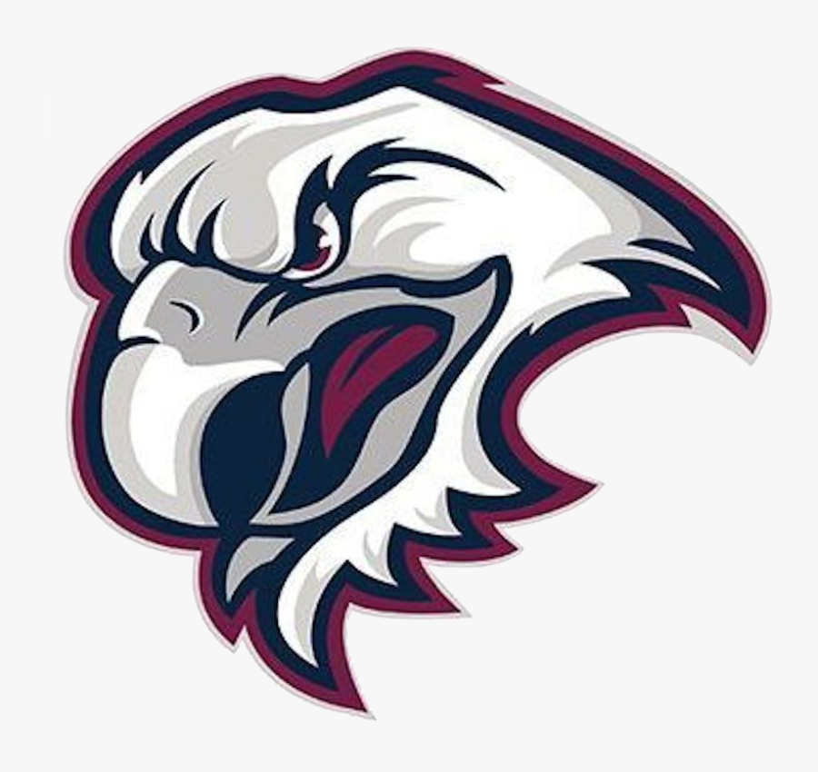 Temporary Manly Sea Eagles Logo Png 8 » Png Image Ideas - Manly Sea Eagles Flag, Transparent Clipart