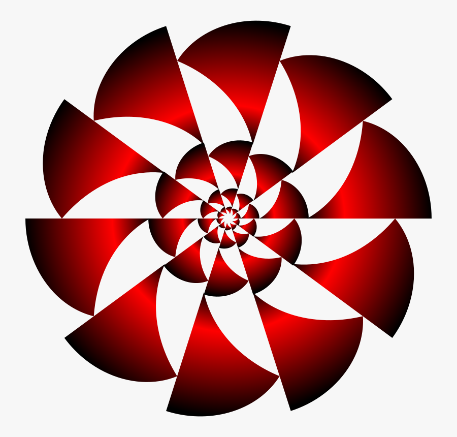 Plant,flora,symmetry - Rotational Symmetry, Transparent Clipart