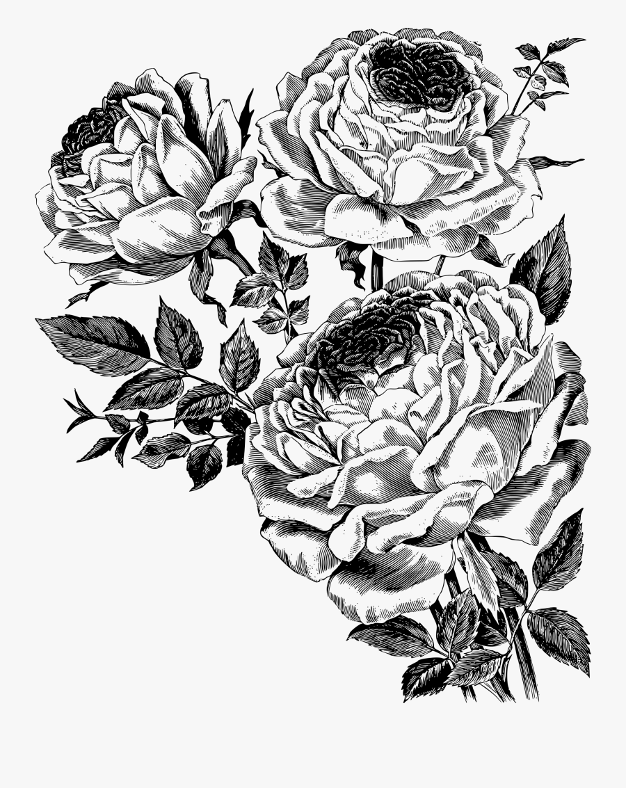 Drawing Is My Medicine - Iron Orchid Designs Transfers Farm, Transparent Clipart