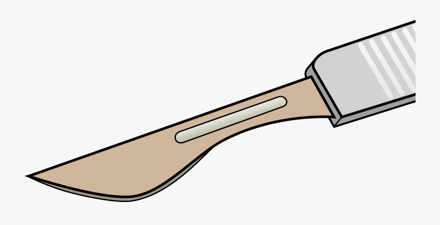 Dissection Tools Clipart Png, Transparent Clipart