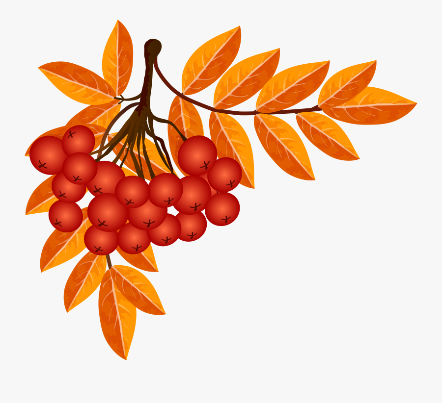 Fall Decoration Png Clip Art Imageu200b Gallery Yopriceville, Transparent Clipart