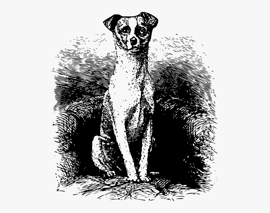 Dog Sit Vectors, Transparent Clipart