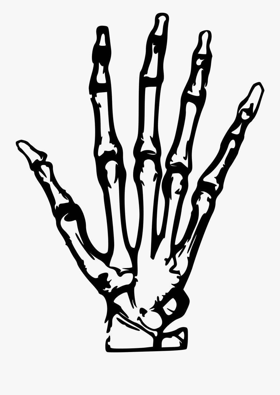 Thumb Image - Cartoon Skeleton Hand Png, Transparent Clipart