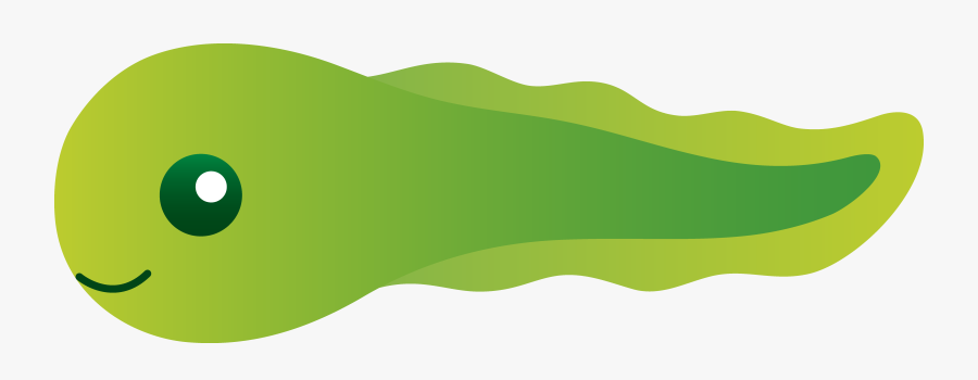 Tad Clipart For Our Users - Tadpole Clipart, Transparent Clipart