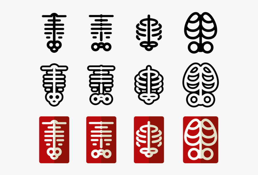 Ribcage Vector Icons - Human Rib Cage Vector, Transparent Clipart