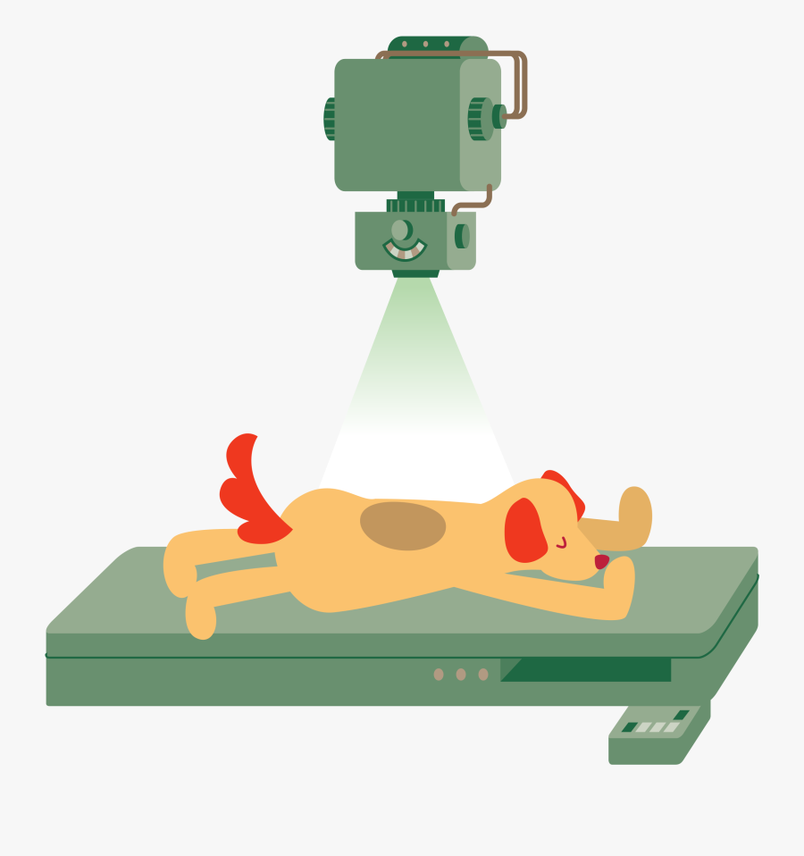 Xray Clipart, Transparent Clipart