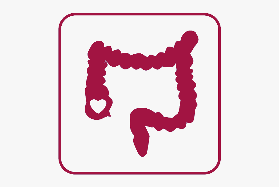 St Mary"s Nhs Treatment Centre - Colon Flat Icon, Transparent Clipart