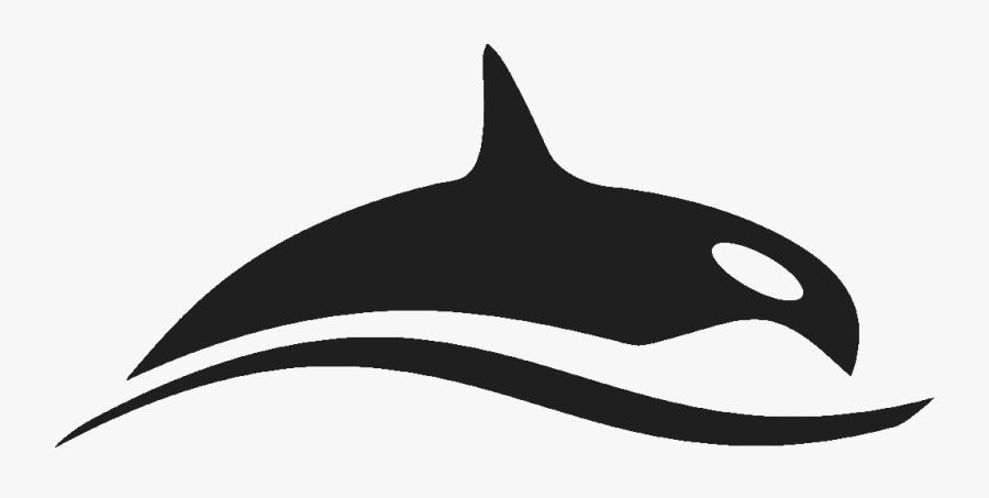 Transparent Lasso Clipart, Transparent Clipart