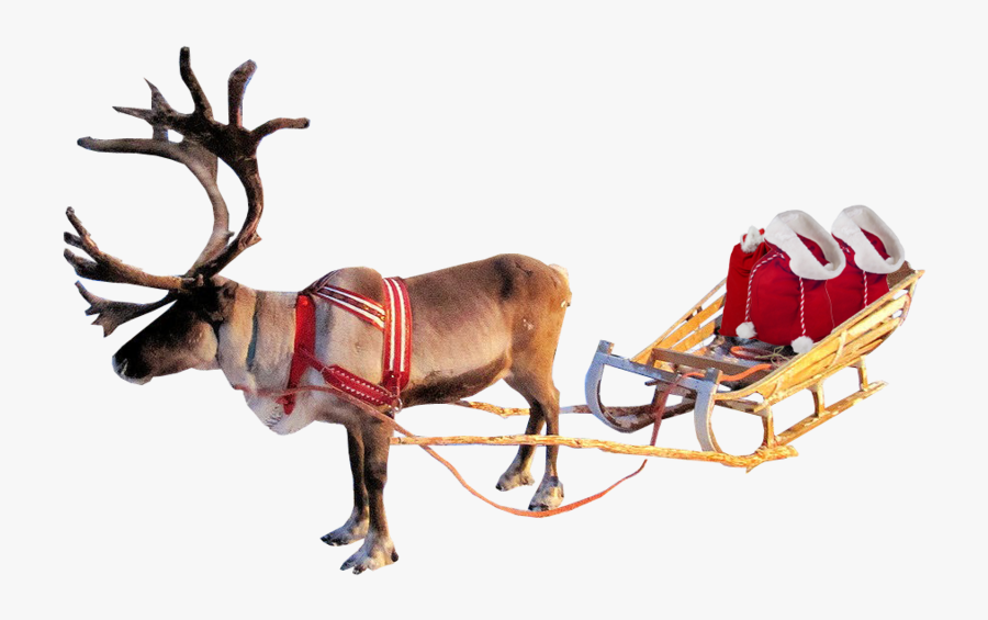 Santa Sleigh Png Clipart - Christmas Deer Transparent Background, Transparent Clipart
