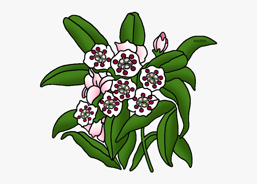 United States Clip Art By Phillip Martin, Pennsylvania - Clipart Mountain Flower, Transparent Clipart