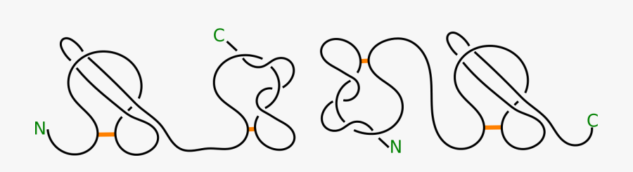 Line Art, Transparent Clipart