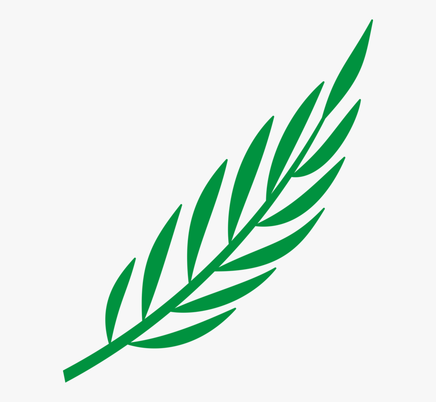 Branch, Laurel, Leaf, Leafy, Leaves, Plant - Cape Verde Coat Of Arms, Transparent Clipart