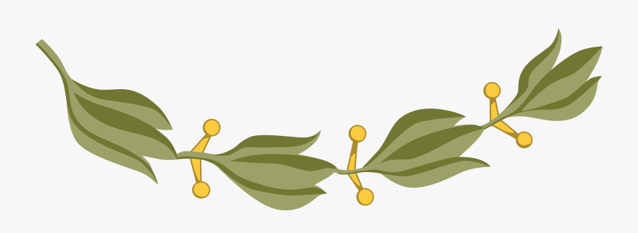 Laurel Clipart Laurel Branch ~ Frames ~ Illustrations - Bay Laurel, Transparent Clipart