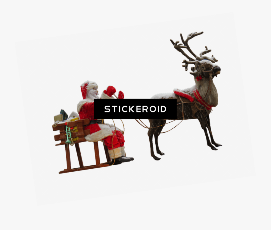 Transparent Christmas Horse And Sleigh Clipart - Santa Claus Deer Png, Transparent Clipart
