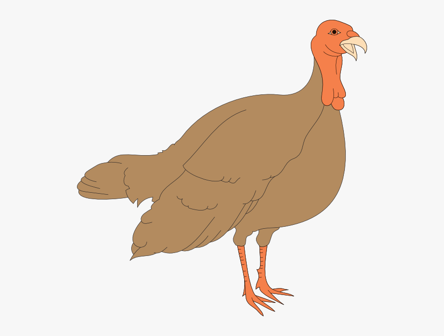 Turkey Hen Clipart, Transparent Clipart