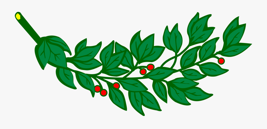 Branch, Laurel, Leaf, Leafy, Leaves - Laurel Leaves Svg, Transparent Clipart