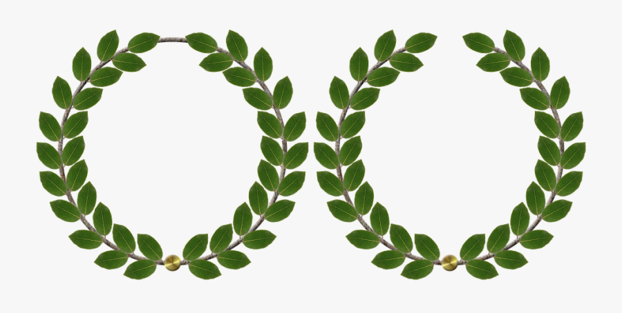 Laurel Wreath, Anniversary, Laurels, Award, Leaves - Free Wreath Vector Png, Transparent Clipart