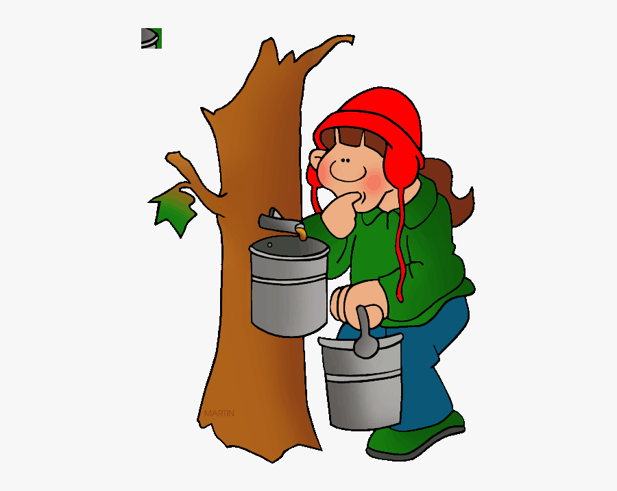 Clip Art Trees Clip Art By Phillip Martin Tapping Maple - Maple Syrup Clip Art, Transparent Clipart