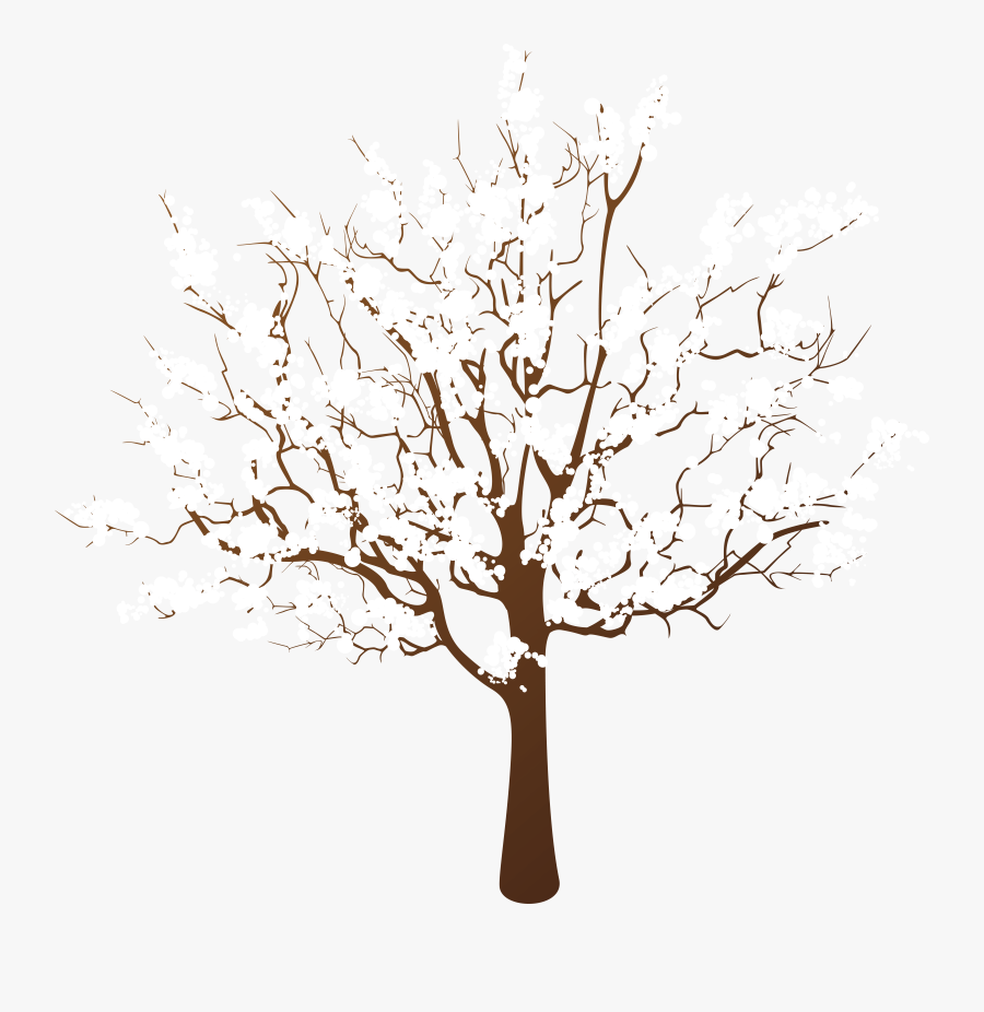 Tree Winter Branch Clip Art, Transparent Clipart