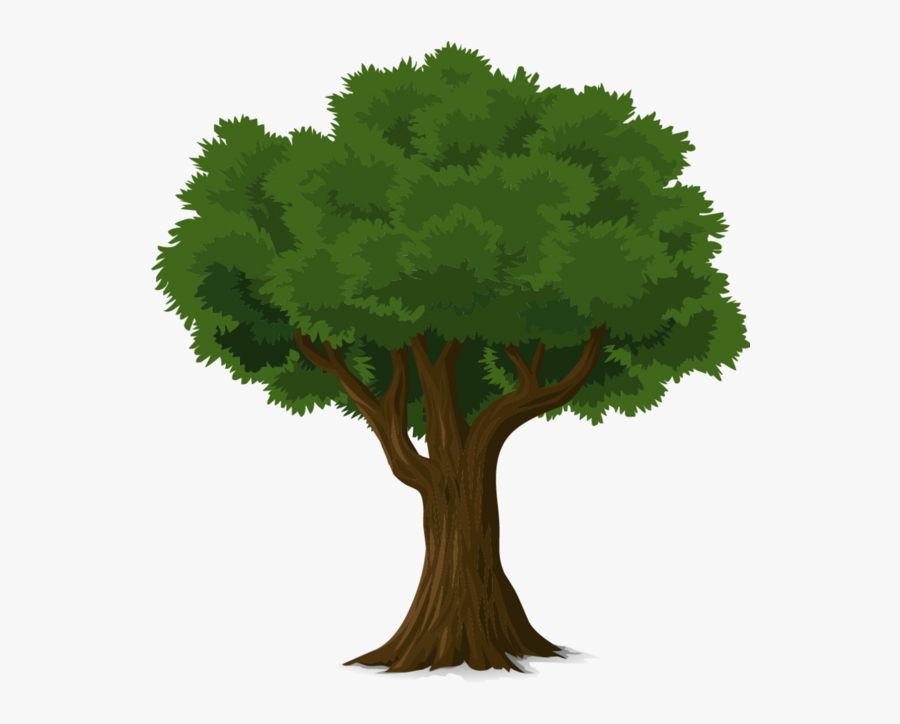Clip Art Tree Fresh Arbres Page 10 Clipart Pinterest - Summer Tree Clip Art, Transparent Clipart