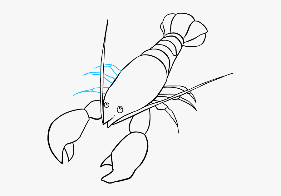 How To Draw Lobster - American Lobster, Transparent Clipart