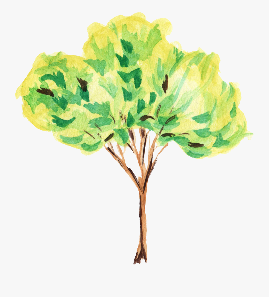 Watercolor Clipart Tree - Watercolor Tree Transparent Background, Transparent Clipart