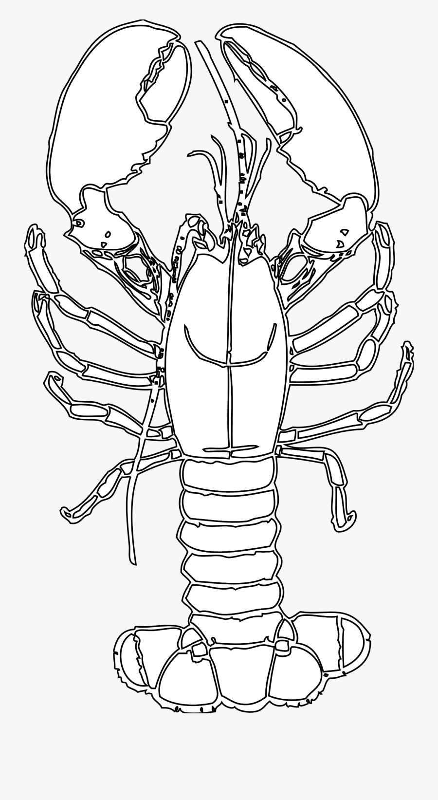 Lobster Coloring Pages Games Being A Teacher Coloring - Ns Lobster Coloring, Transparent Clipart