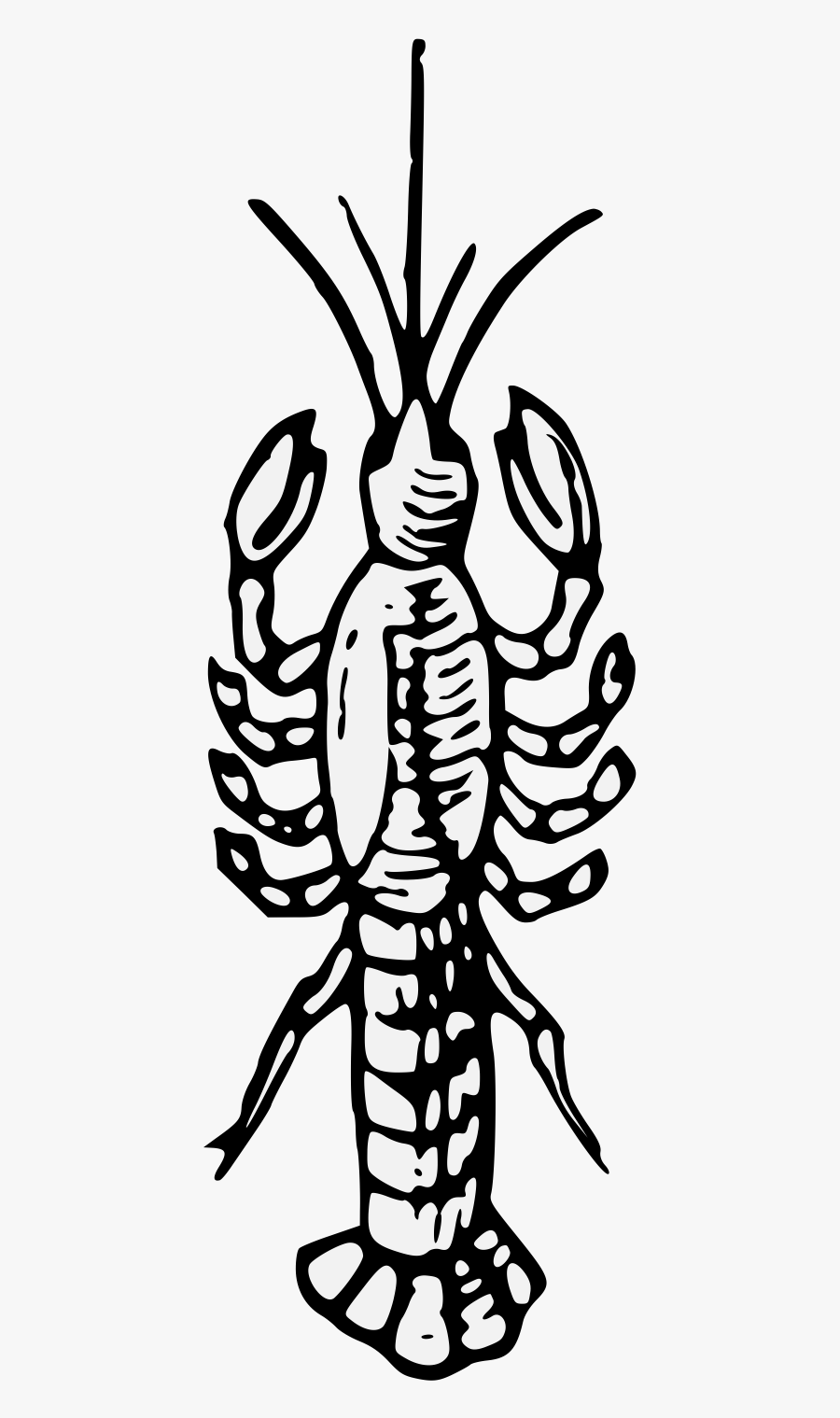 Illustration, Transparent Clipart