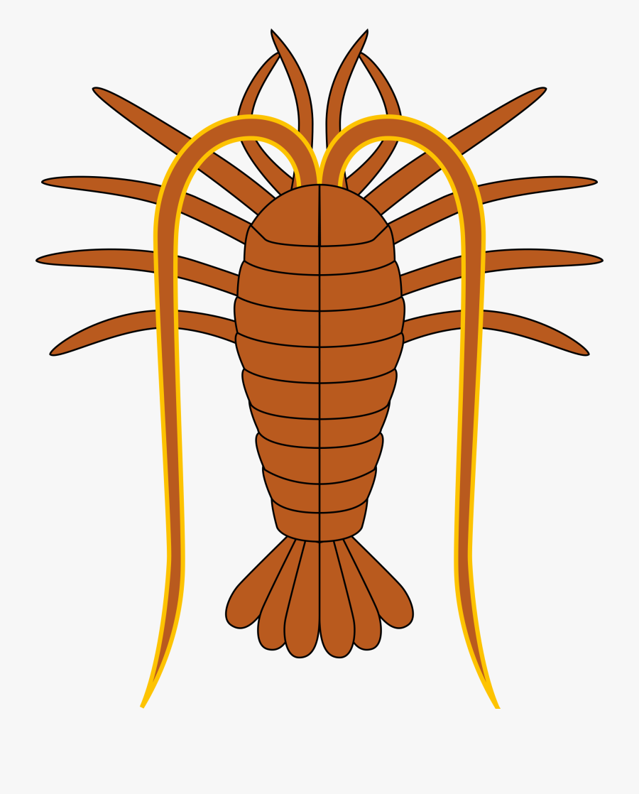 Lobster 2 Clip Arts - Flag Turks And Caicos, Transparent Clipart
