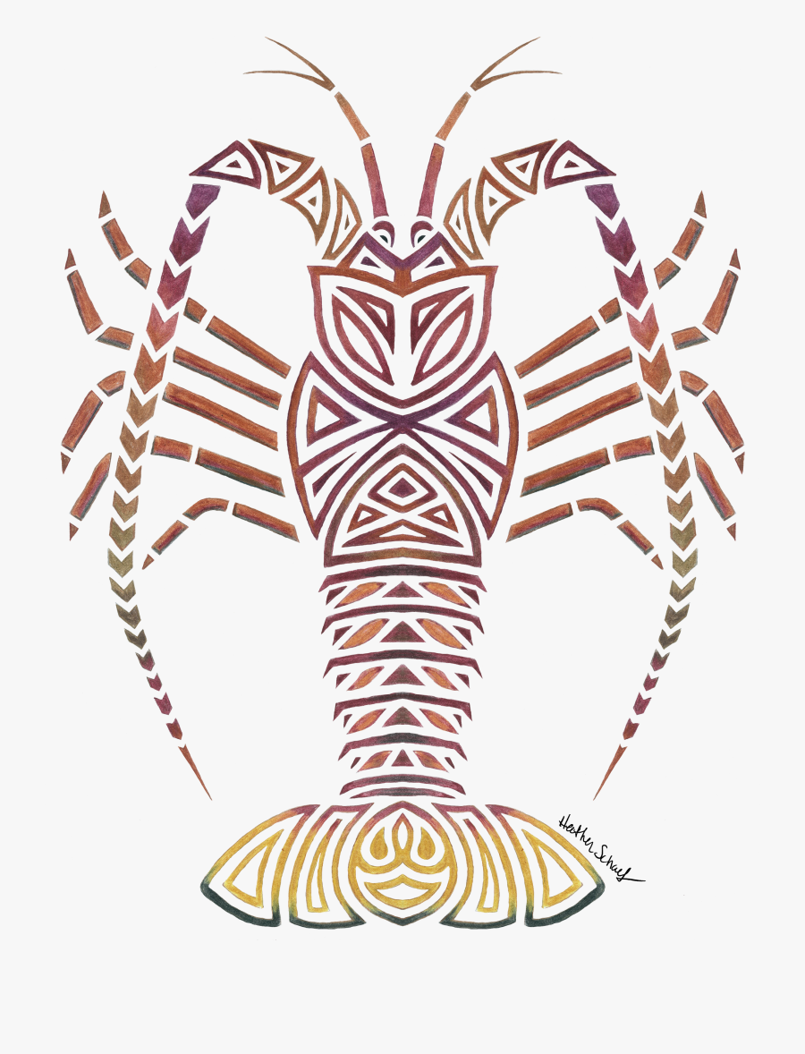 Tribal Lobster Caribbean Spiny Lobster Drawing , Free Transparent
