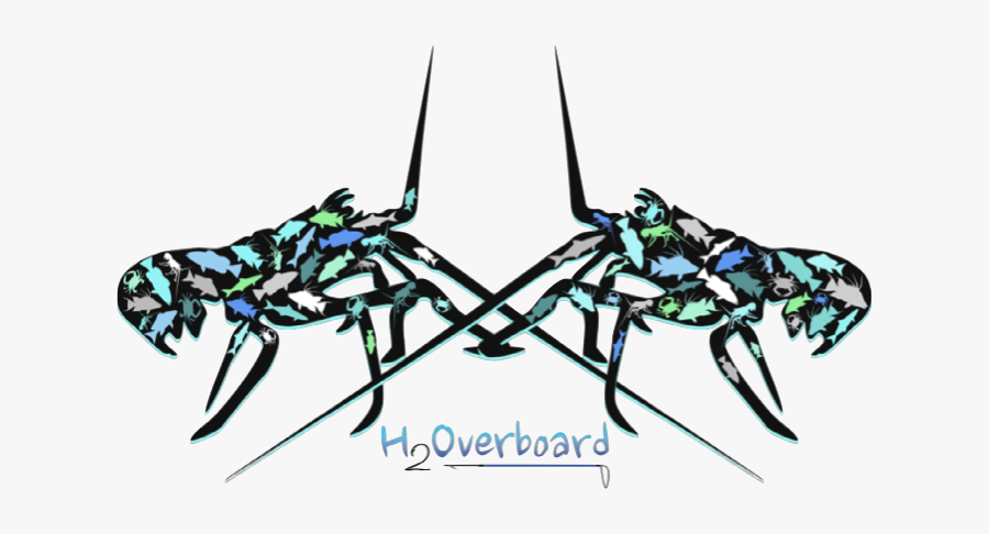 Bee, Transparent Clipart