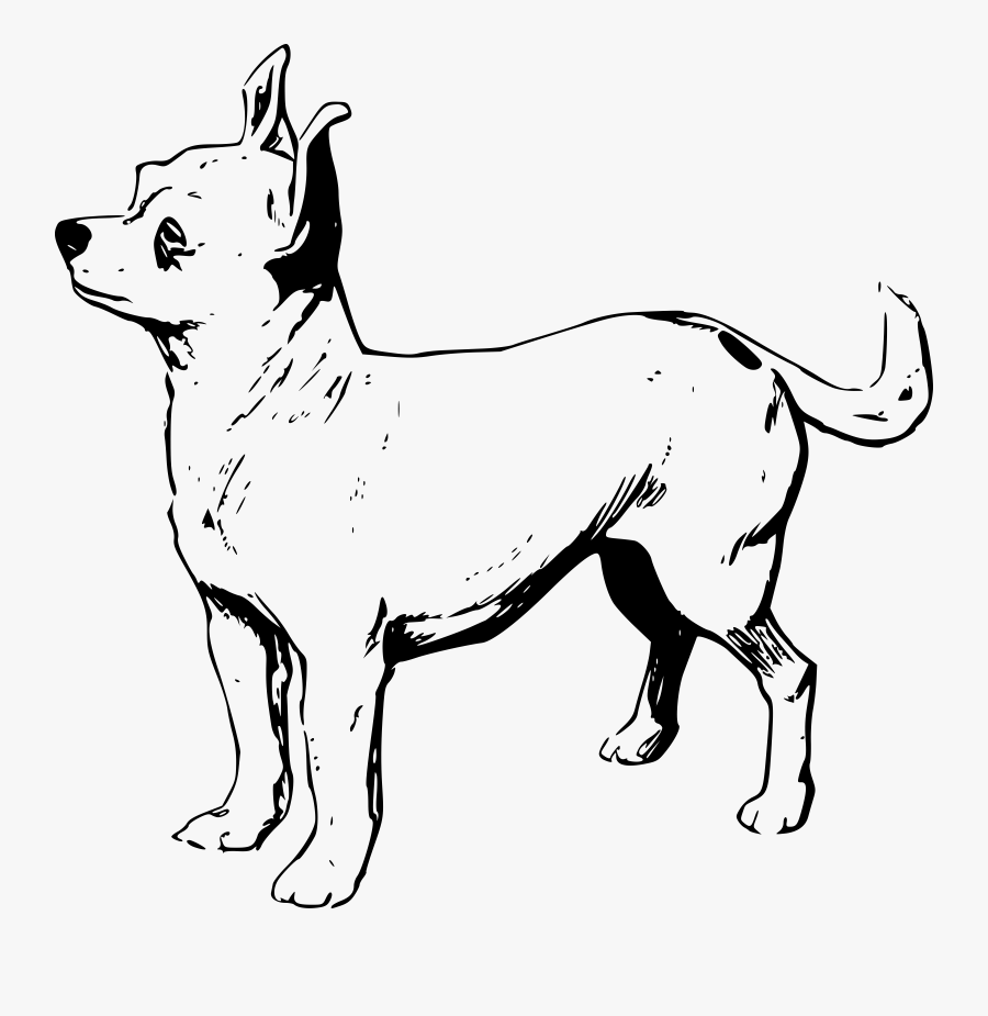 Chihuahua Clip Art - Chihuahua Black And White Drawing, Transparent Clipart