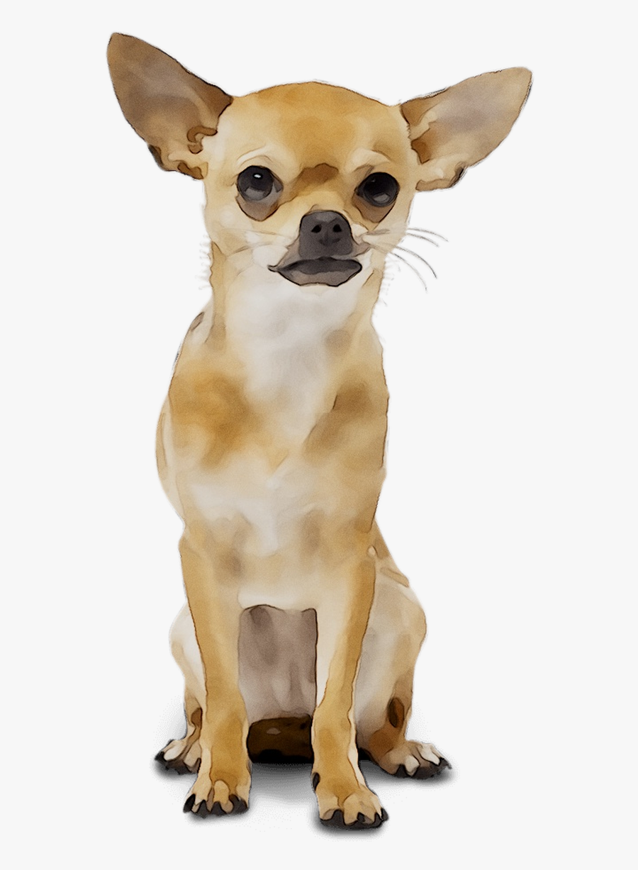 Chihuahua Russkiy Breed Dog Toy Wedding Organizer Clipart - Dog Clipart Chihuahua, Transparent Clipart