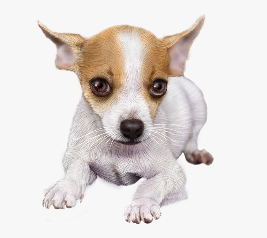 Dogs Clipart Chihuahua - Tubes Pet Png, Transparent Clipart