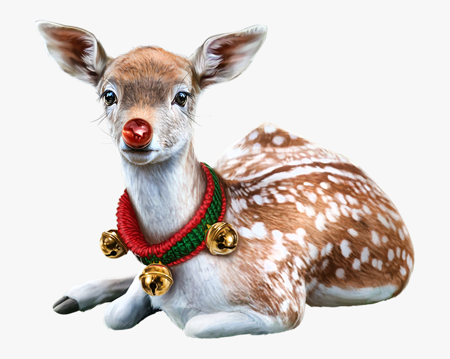 Banner Royalty Free Stock Christmas Chihuahua Clipart - Animaux De Noel, Transparent Clipart