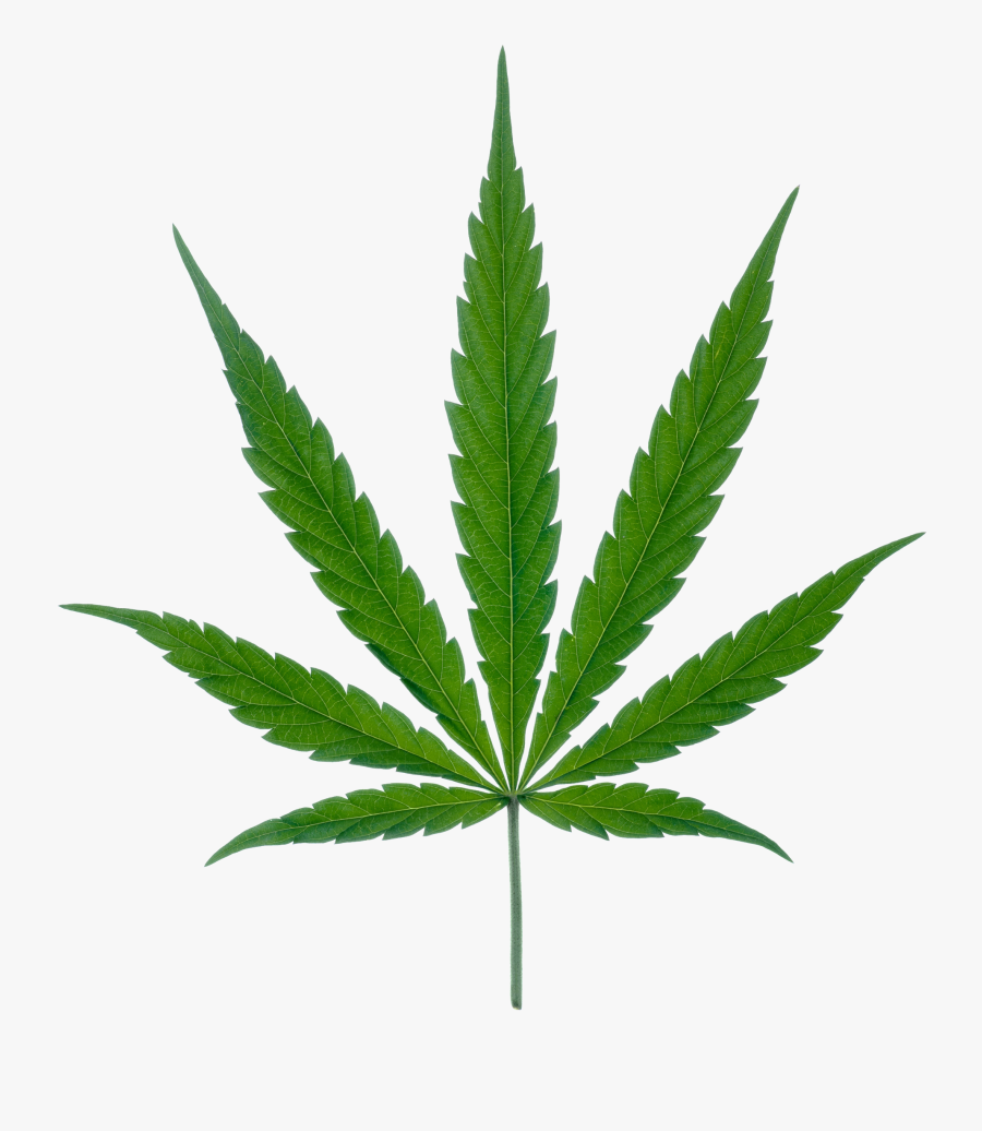 Cannabis Leaf Png Marijuana - Cannabis Leaf, Transparent Clipart