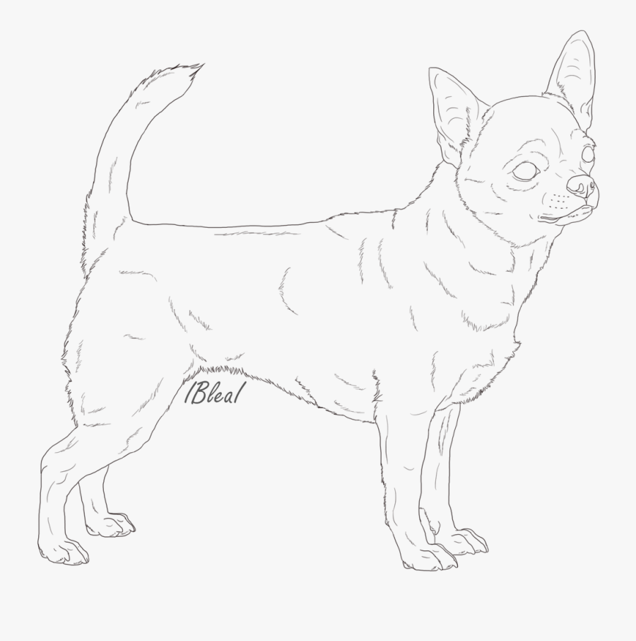 Chihuahua Lineart Black And White - Old English Terrier, Transparent Clipart