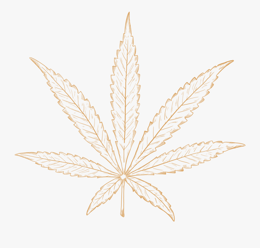 Transparent Marijuana Leaf Clipart - Illustration, Transparent Clipart