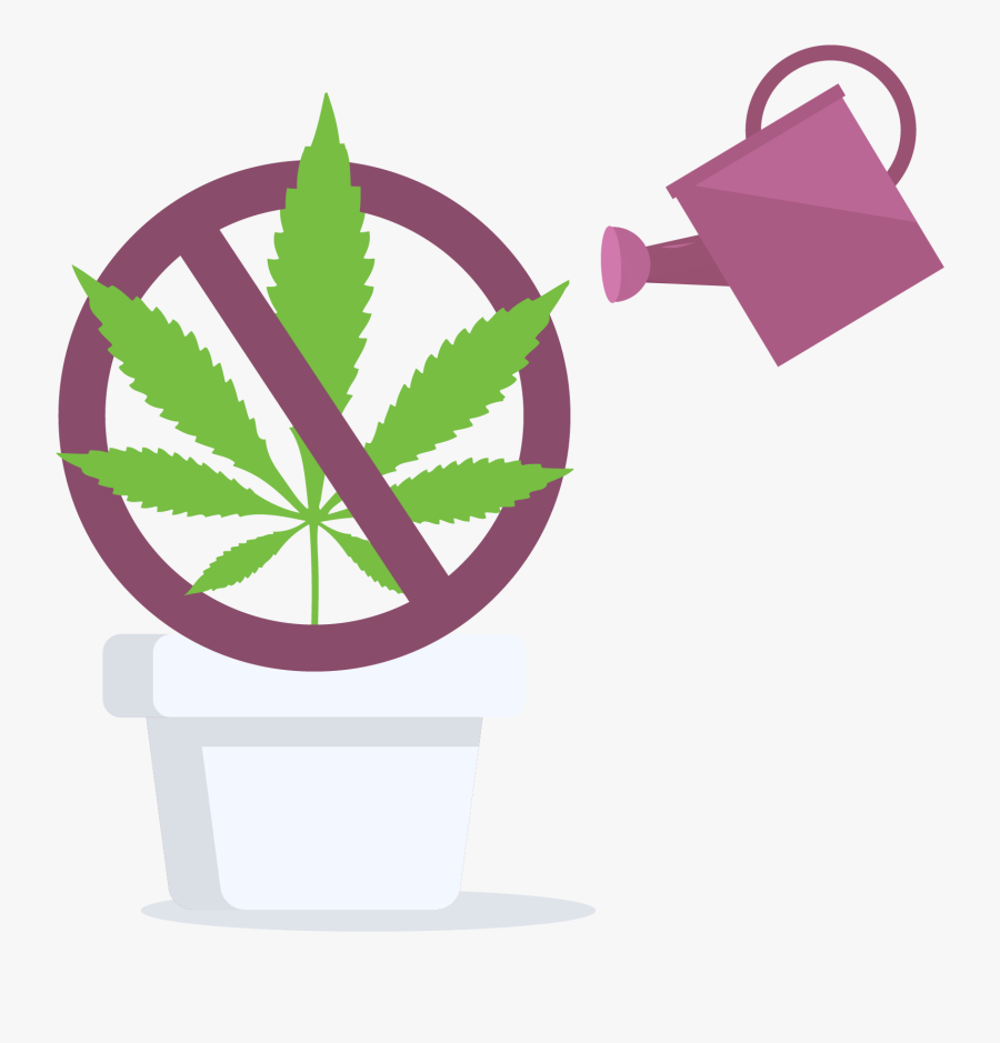 Cannabis Home Grow Is Prohibited In Quebec, Canada - Marijuana Leaf, Transparent Clipart