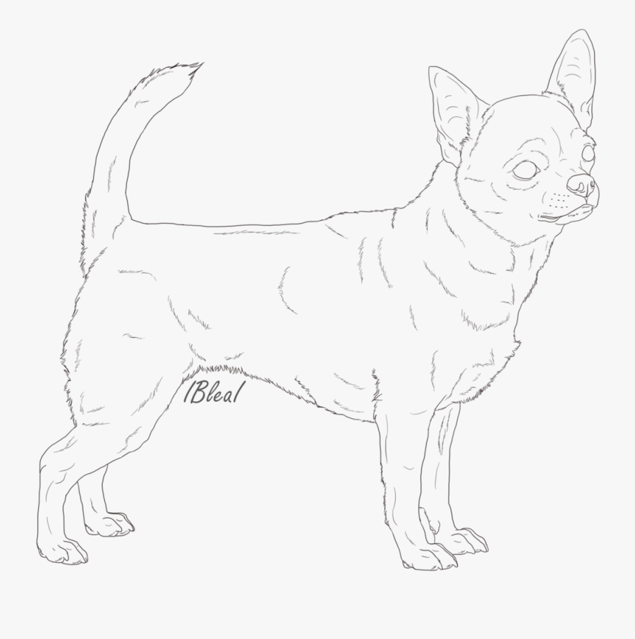 Line Drawing At Getdrawings - Line Art, Transparent Clipart