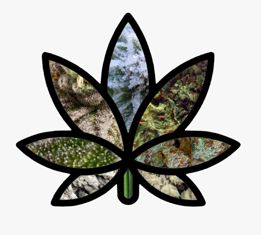 Weed Learn About The - Cannabis Medicine Icon, Transparent Clipart