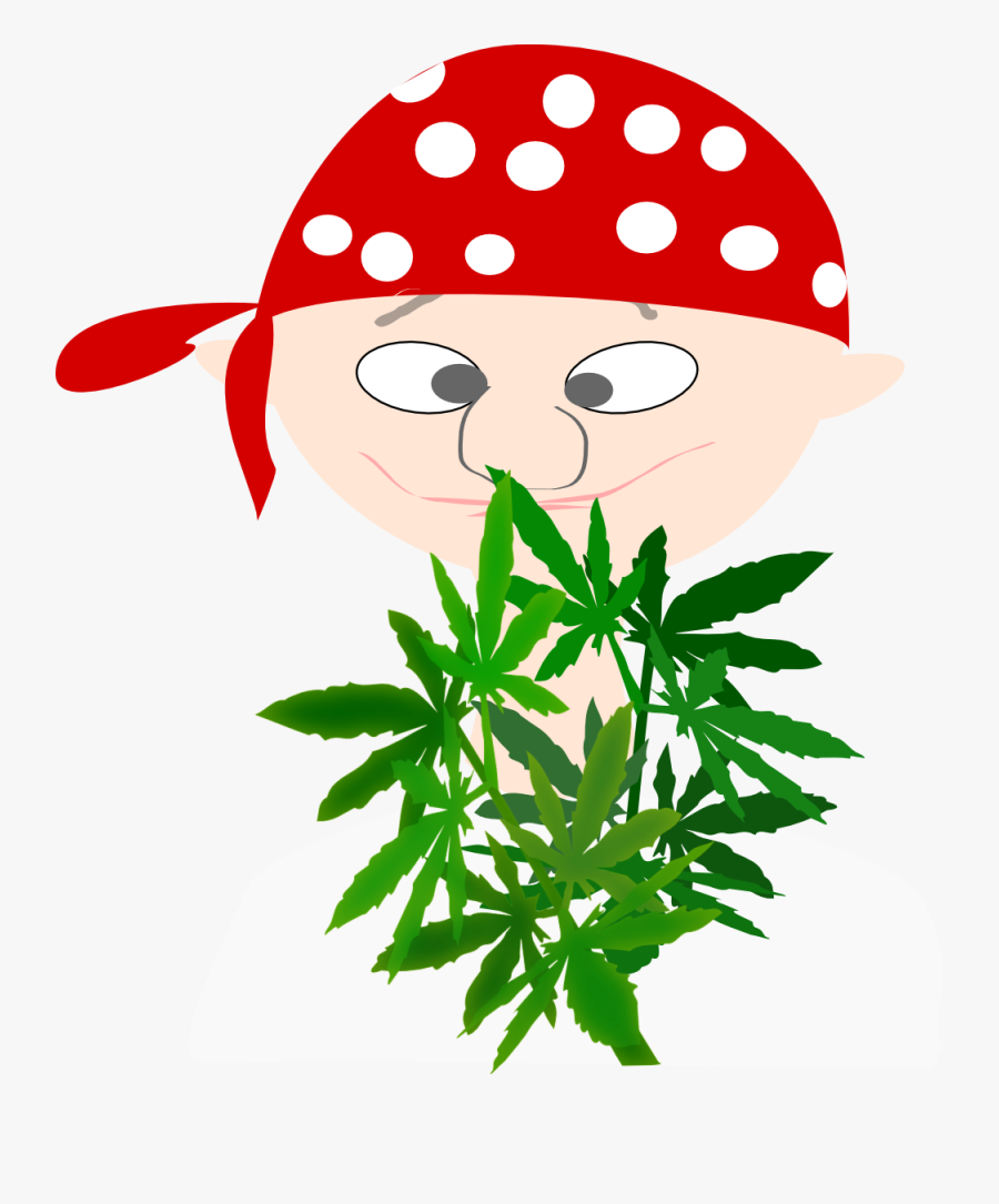 Botanist - Cannabis Cartoon, Transparent Clipart