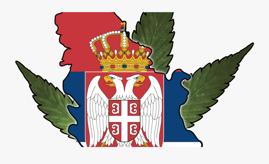 Michigan Medical Marijuana Report - Novi Grb Srbije, Transparent Clipart