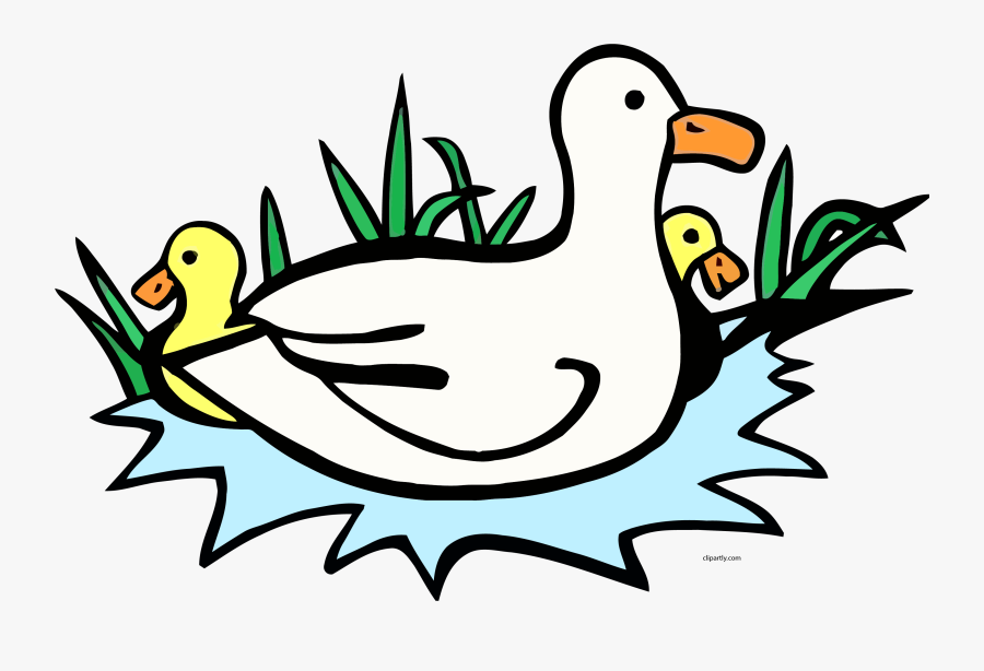 Clip Art Ducks Clipart Png - Ducks Clip Art, Transparent Clipart