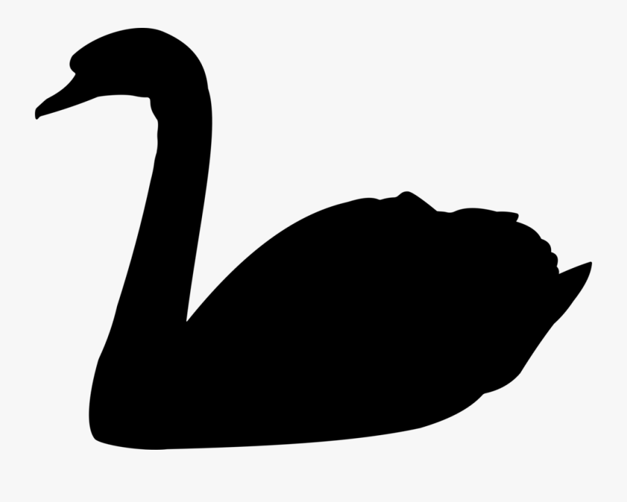 Black Swan Feeding Clipground - Swan Silhouette Png, Transparent Clipart