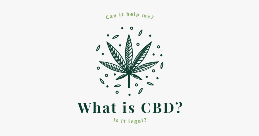 Graphic Design, Transparent Clipart