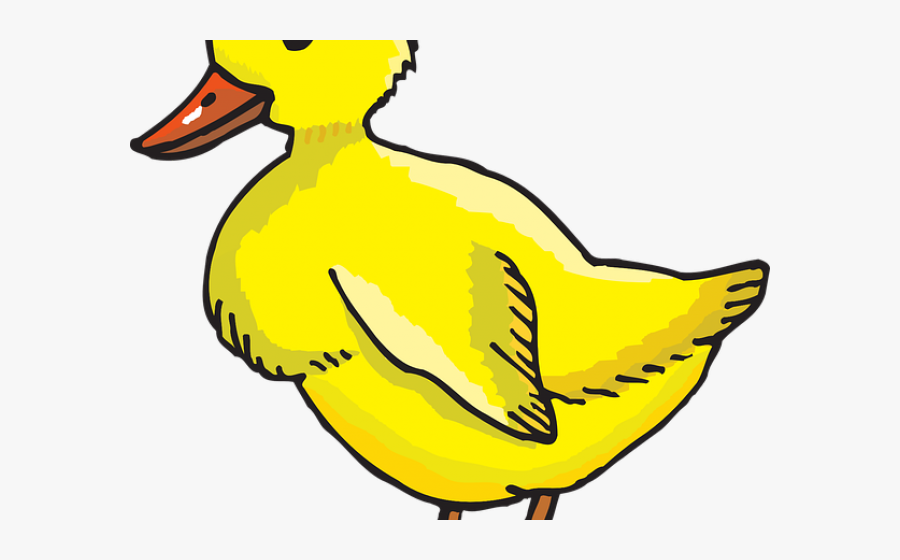 Duckling Clipart Duck Tail, Transparent Clipart