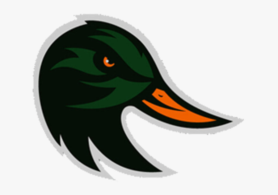Duck Clipart Profile - Anaheim Ducks, Transparent Clipart